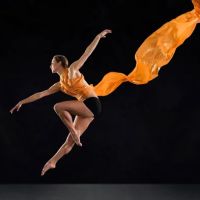 Georgia Academy of Dance & the Performing Arts ico