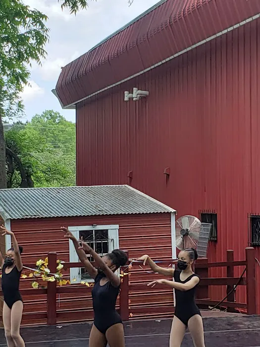 Ballethnic Dance Co Picture 6