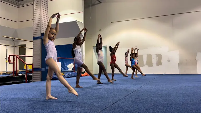 Gym South Gymnastics, Tumbling and Ninja Picture 1