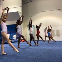 Gym South Gymnastics, Tumbling and Ninja ico