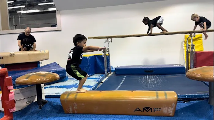 Gym South Gymnastics, Tumbling and Ninja Picture 2