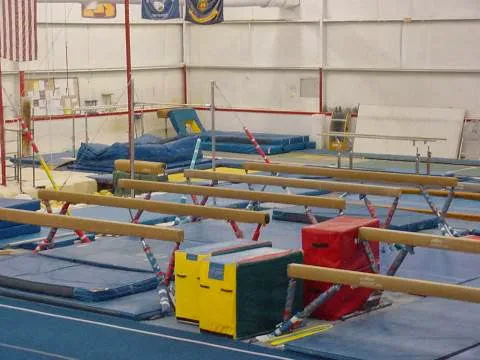Gym South Gymnastics, Tumbling and Ninja Picture 6