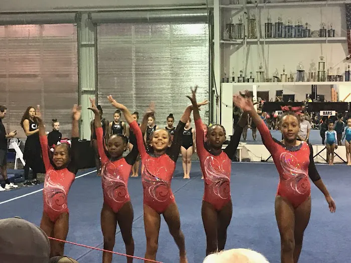 Gym South Gymnastics, Tumbling and Ninja Picture 5