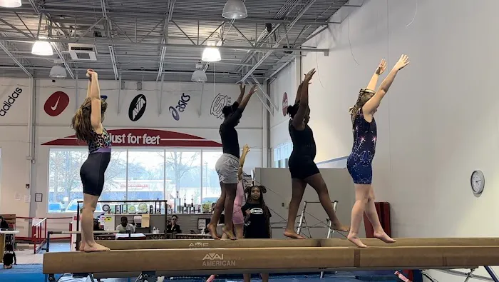 Gym South Gymnastics, Tumbling and Ninja Picture 4