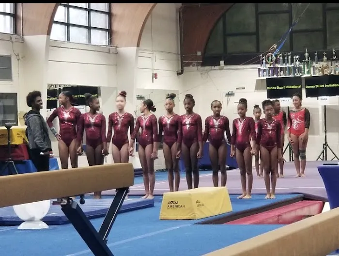 Gym South Gymnastics, Tumbling and Ninja Picture 8