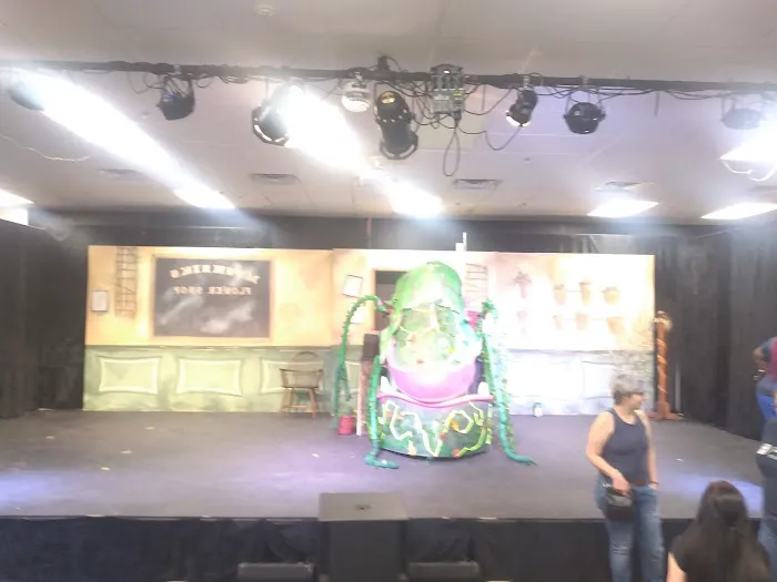 Town Square Playhouse Picture 9