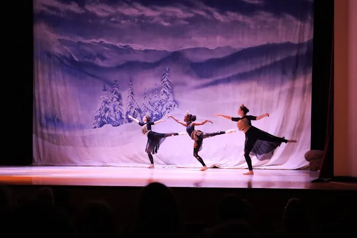 Dance Contempra Picture 8