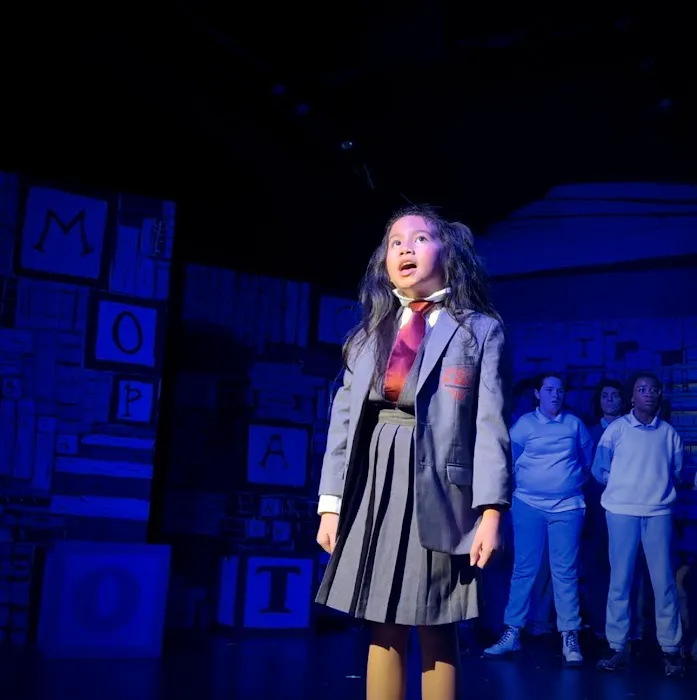 Red Phoenix Performing Arts Studio Picture 5