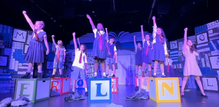 Red Phoenix Performing Arts Studio Picture 4