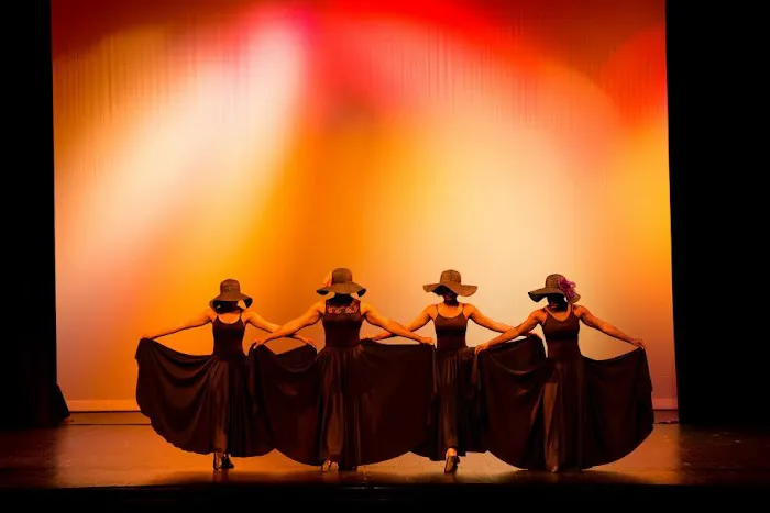 Kali Dance Studio for the Arts Picture 4