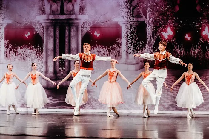 British Academy of Performing Arts Picture 1