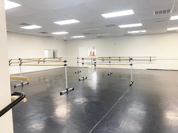British Academy of Performing Arts Picture 2