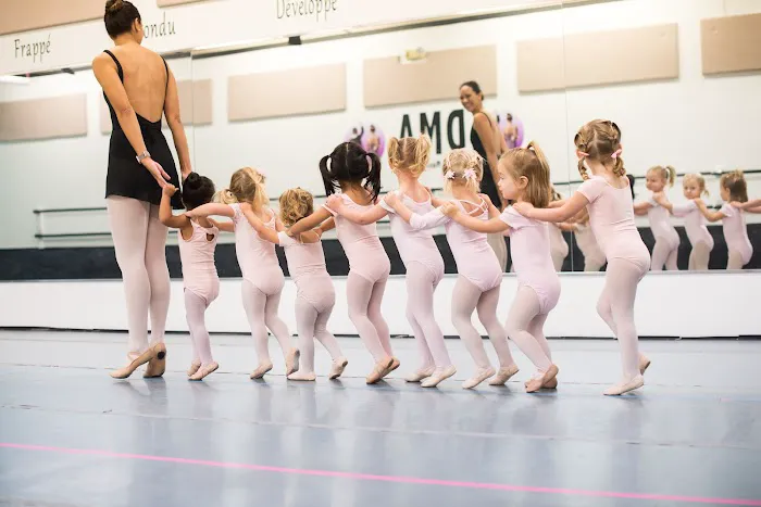 Dance and Music Academy of Woodstock Picture 3