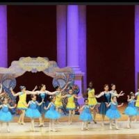 DWMA Ballet Academy ico