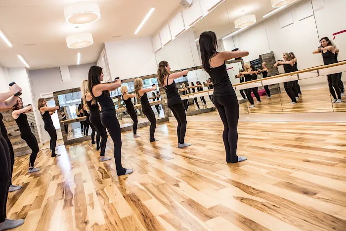 Pink Barre Picture 3