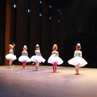 Sandy Springs School of Dance and Performing Arts ico