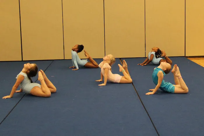 Catapult Movement Picture 5