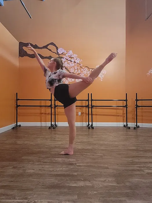 Fae Dance Studio Picture 6