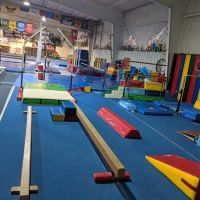 Newnan School of Gymnastics ico