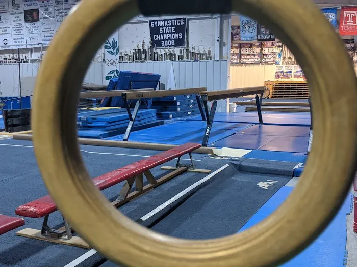 Newnan School of Gymnastics Picture 2