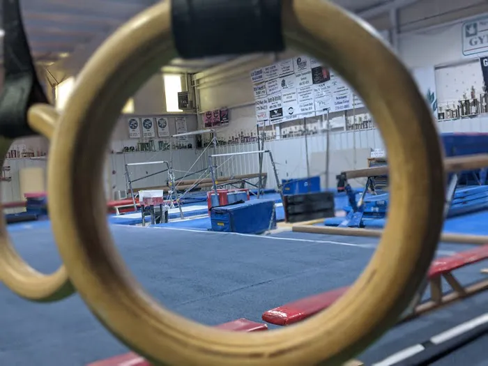 Newnan School of Gymnastics Picture 3