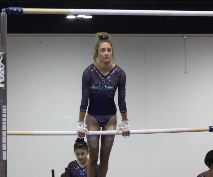 Newnan School of Gymnastics Picture 5