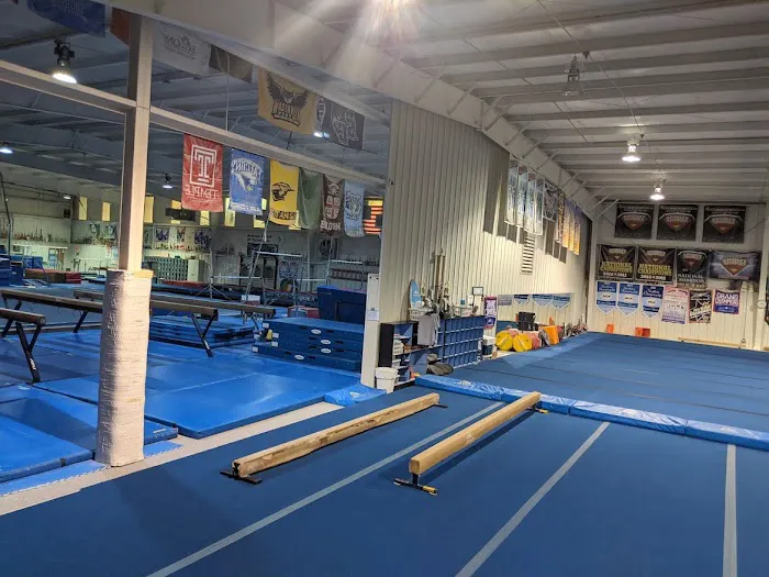 Newnan School of Gymnastics Picture 6