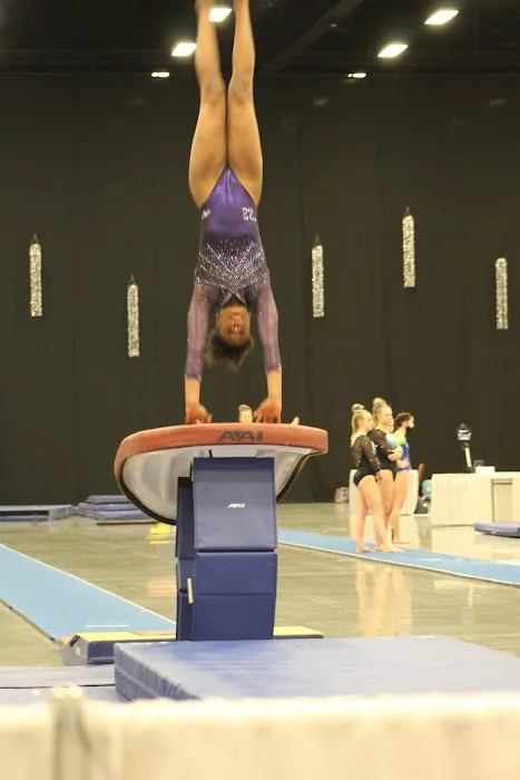 Newnan School of Gymnastics Picture 4